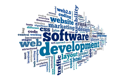 Custom software development